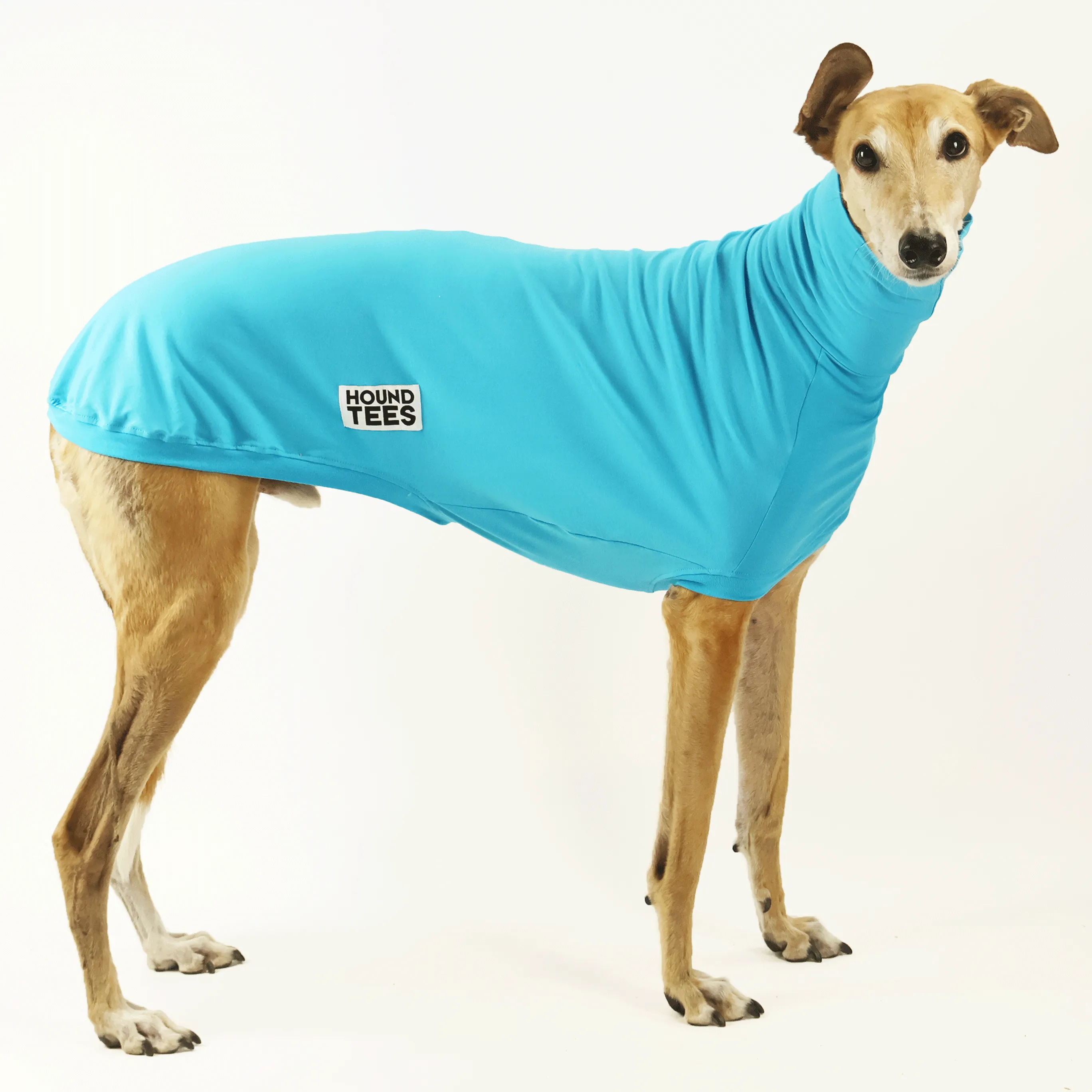 Bluey Greyhound Sleeveless Base Layer