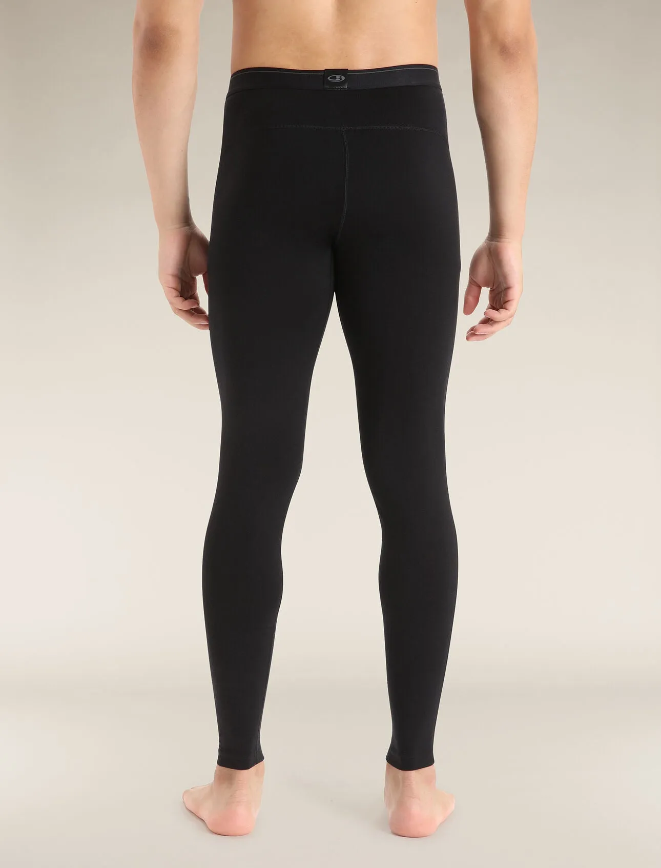 Icebreaker Merino 260 Tech Leggings (Men's)