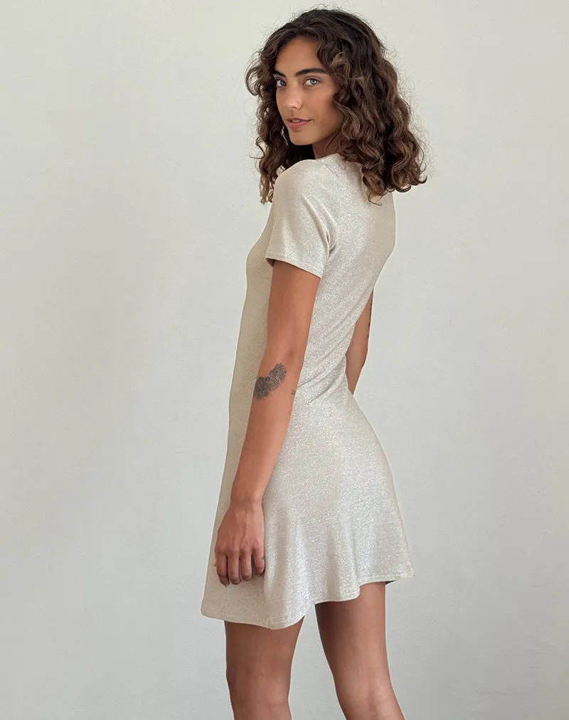 Leora Mini Dress in Silver Mink