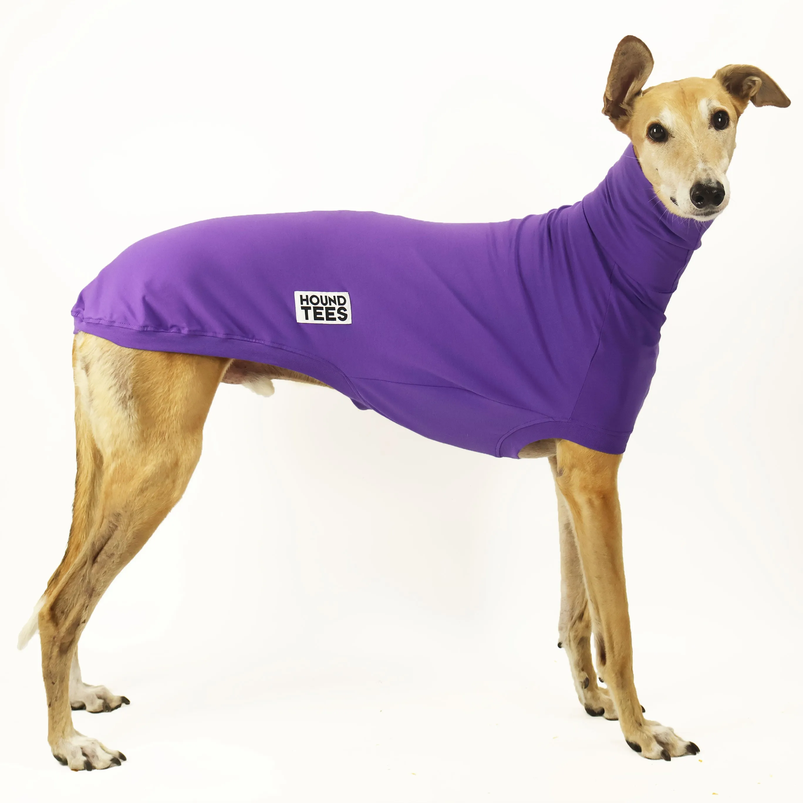 Royal Roach Greyhound Sleeveless Base Layer